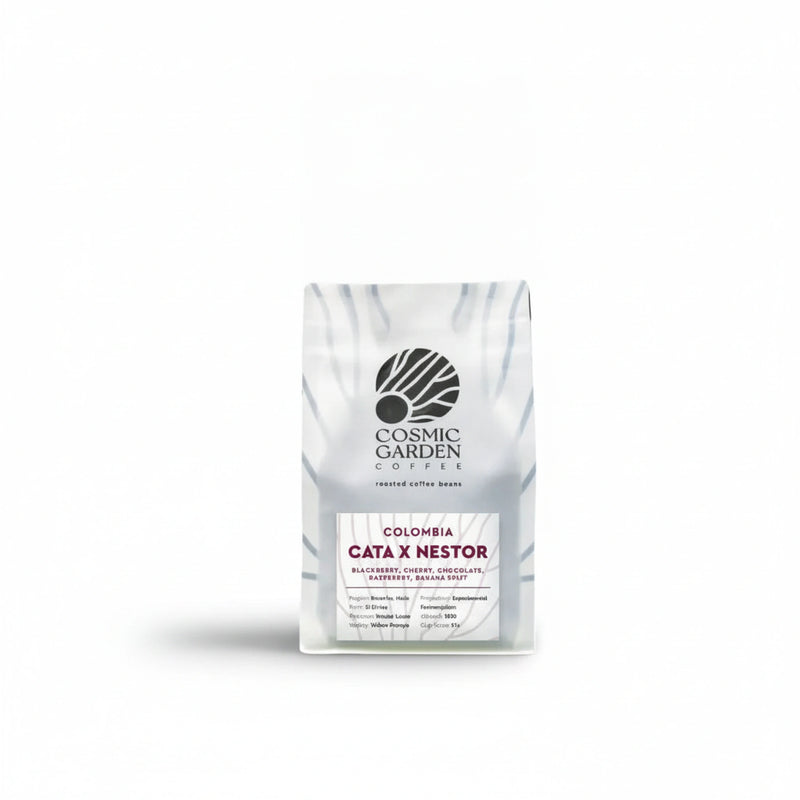 Colombia Cata X Nestor Coffee