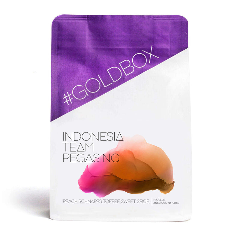 Indonesia Team Pegasing Anaerobic