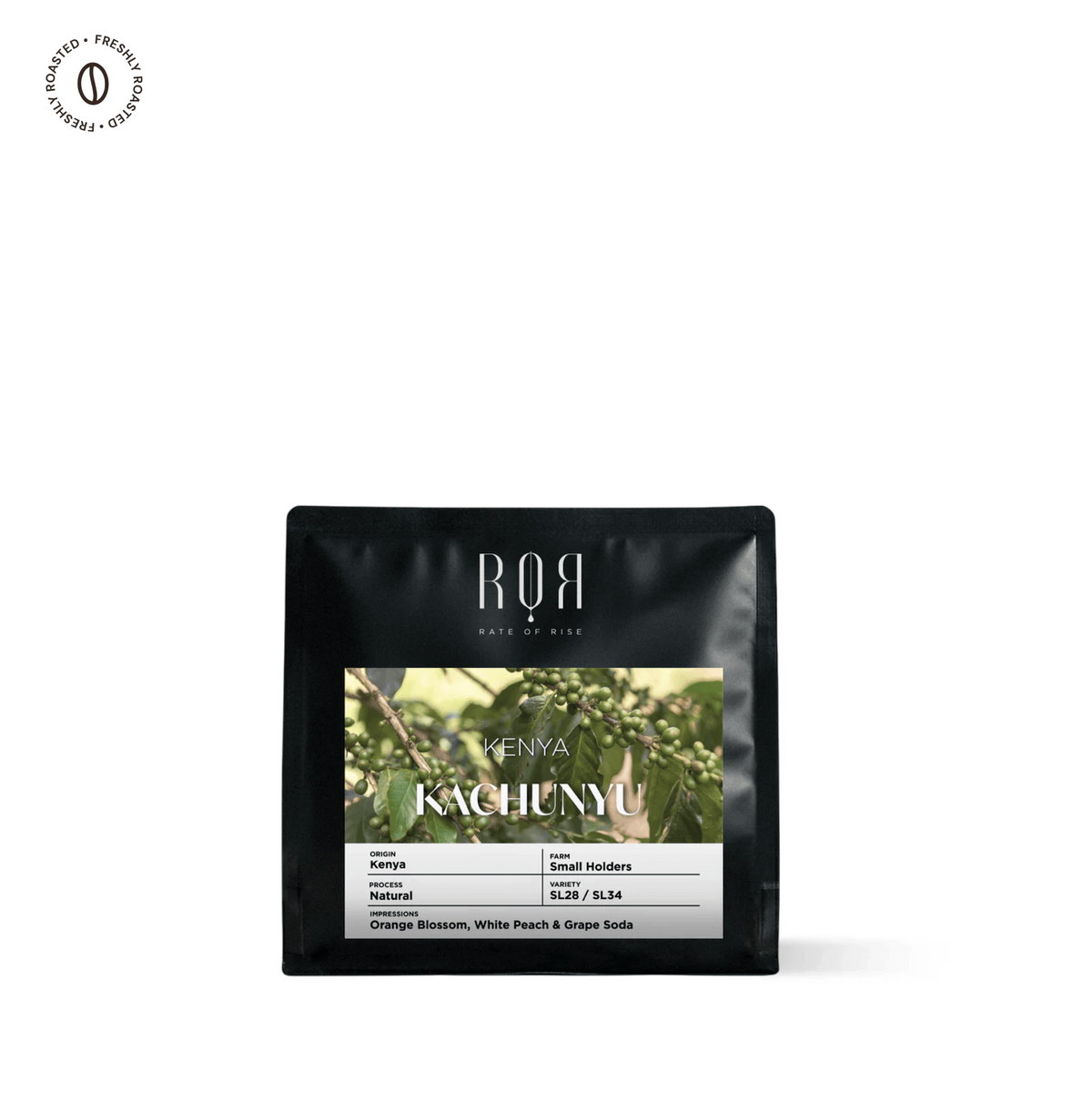 Kenya Kachunyu