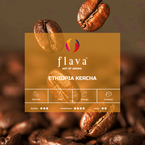 Ethiopia Kercha Single Origin Coffee Beans by Flava Coffee showcasing rich flavors of apricot, pear, mango, and caramel.