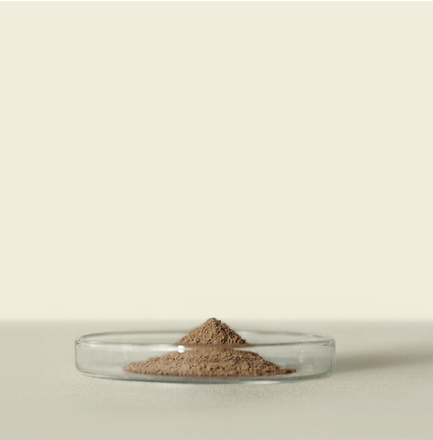 Uji Houjicha Powder: Deep roasted for toasty aromas, caramelized sugar notes, and versatile use in recipes. Premium Uji tea leaves.