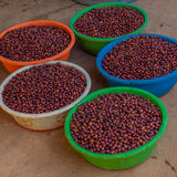 Rwanda Rugori Coffee Beans