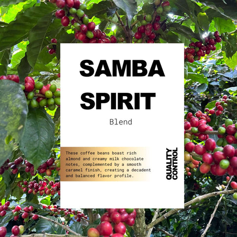 Samba Spirit