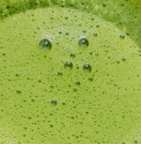 Yūgana Matcha Green Tea - Image 3