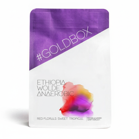 Ethiopia Wolde Anaerobic