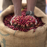 Ethiopia Buku Abel — view 3