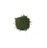 Sencha Japanese Green Tea - Umami - Image 2