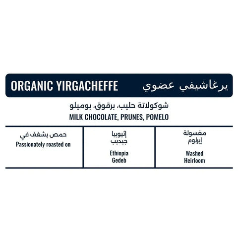 Organic Yirgacheffe - Image 3