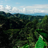 Colombia El Diviso - Image 3